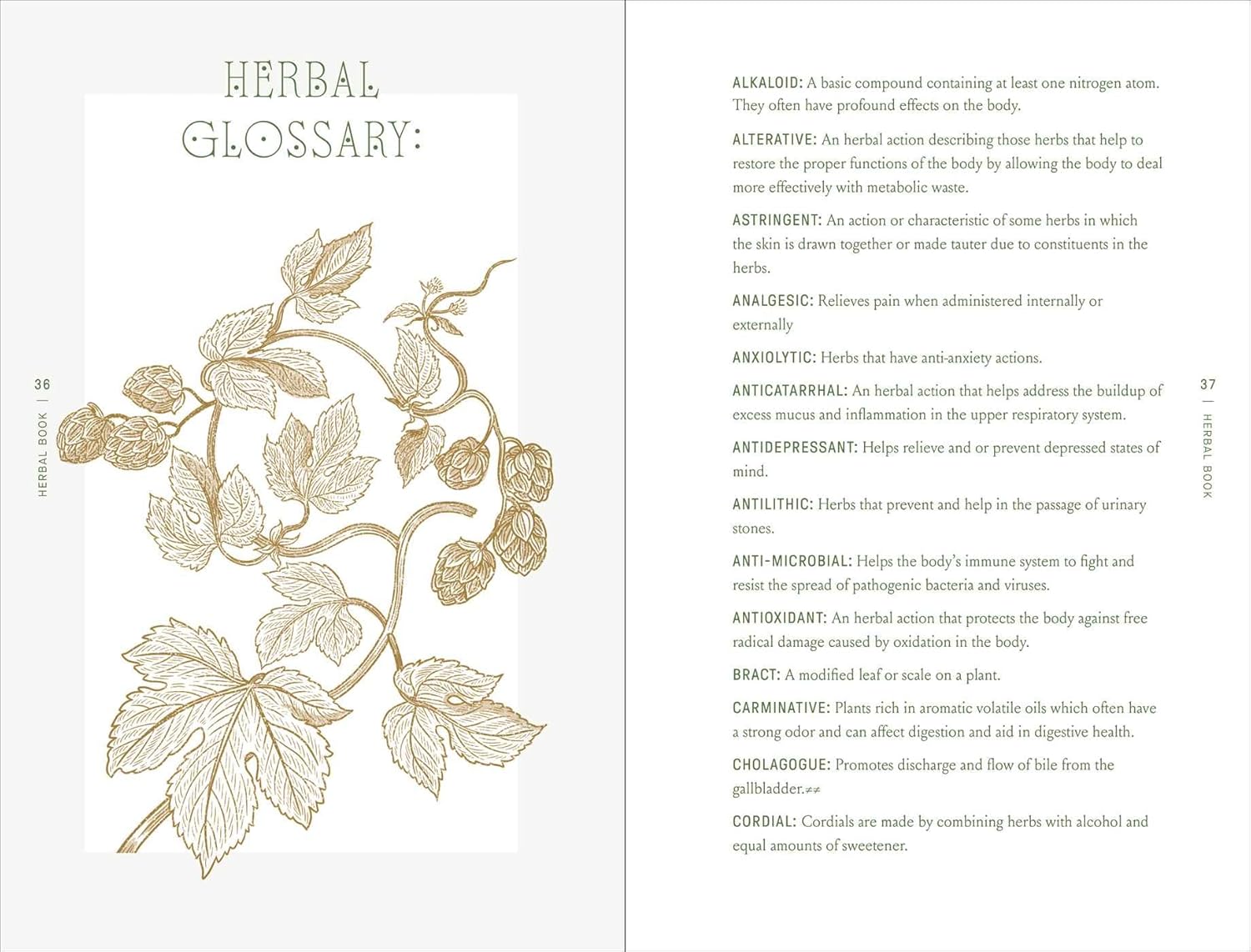 Herbal glossary page with botanical illustration and text on a white background