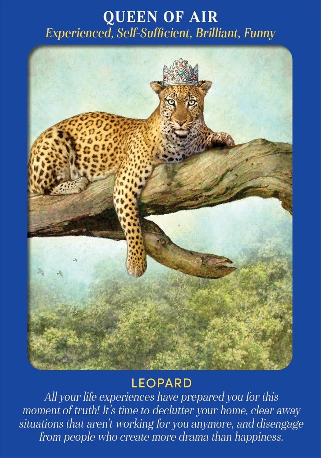 Leopard with a crown on a branch against a blue background with text about life experiences and decluttering.