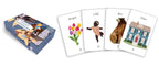Card game set with cards featuring illustrations of a bear, house, and other objects, alongside a game box.