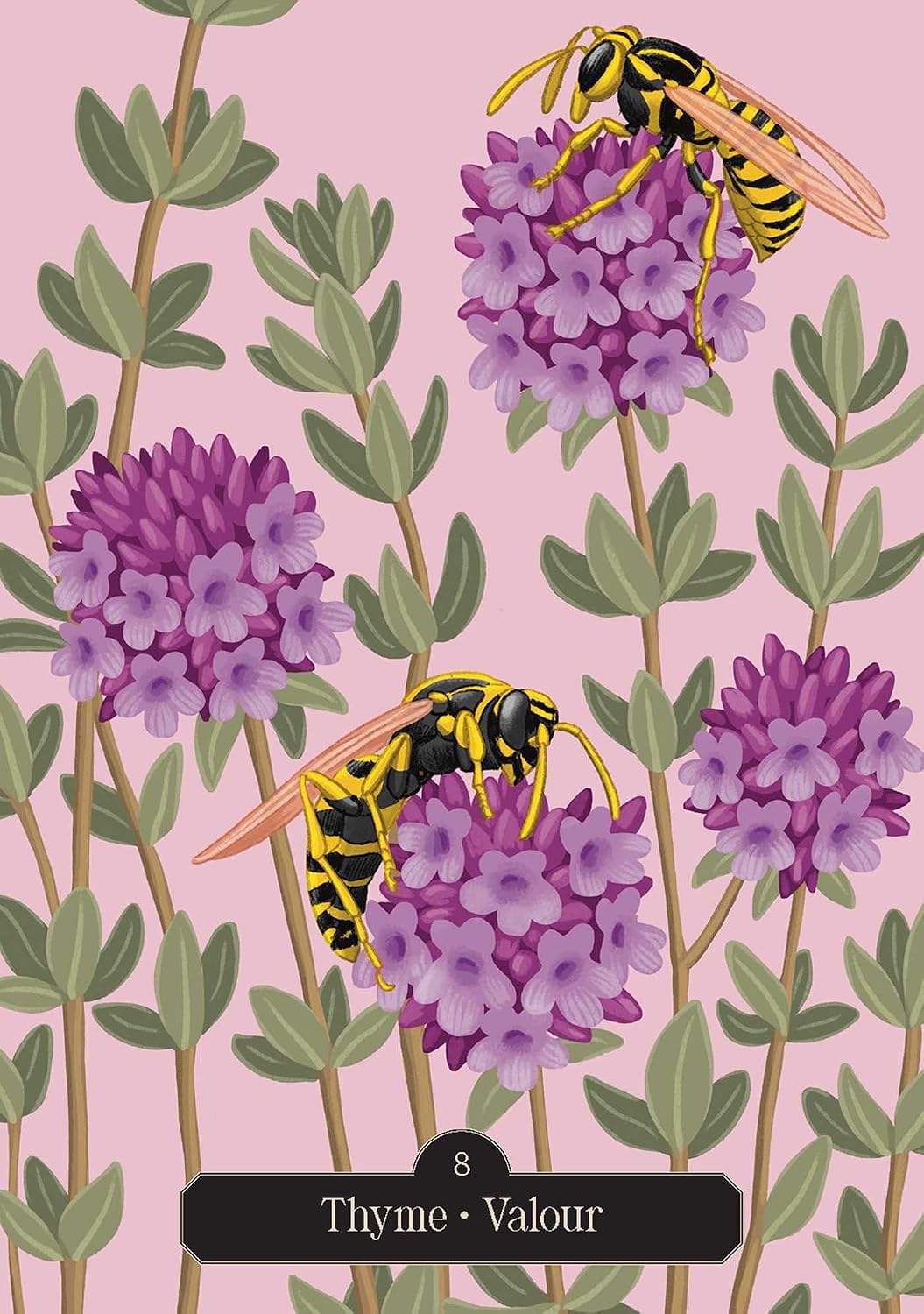 Illustration of wasps on purple flowers with a pink background