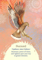 Illustration of a buzzard with mandala patterns and descriptive text on a warm-toned background
