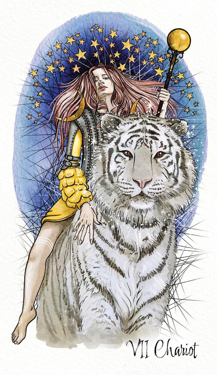 Illustration of a woman with a white tiger, surrounded by stars, holding a staff, with 'VII Chariot' text at the bottom.