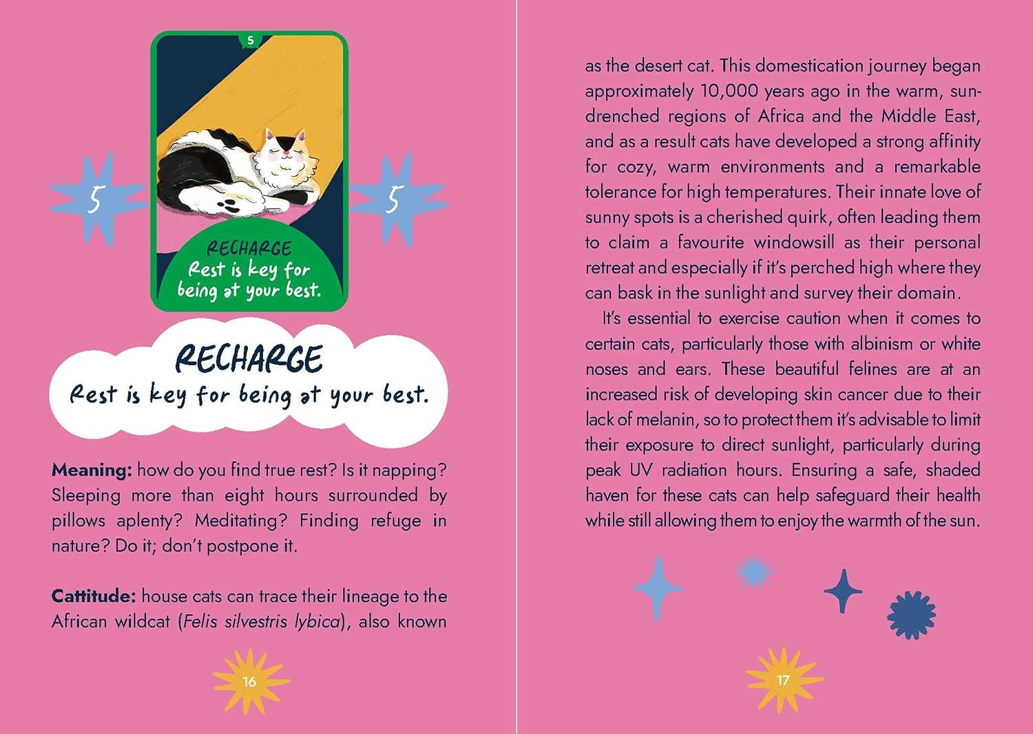 A pink page from a cat care guide featuring the title 'RECHARGE Rest key for being at your best' with explanatory text about cat sleep patterns and care tips, alongside a small illustration of a cat sleeping in a green cushion.