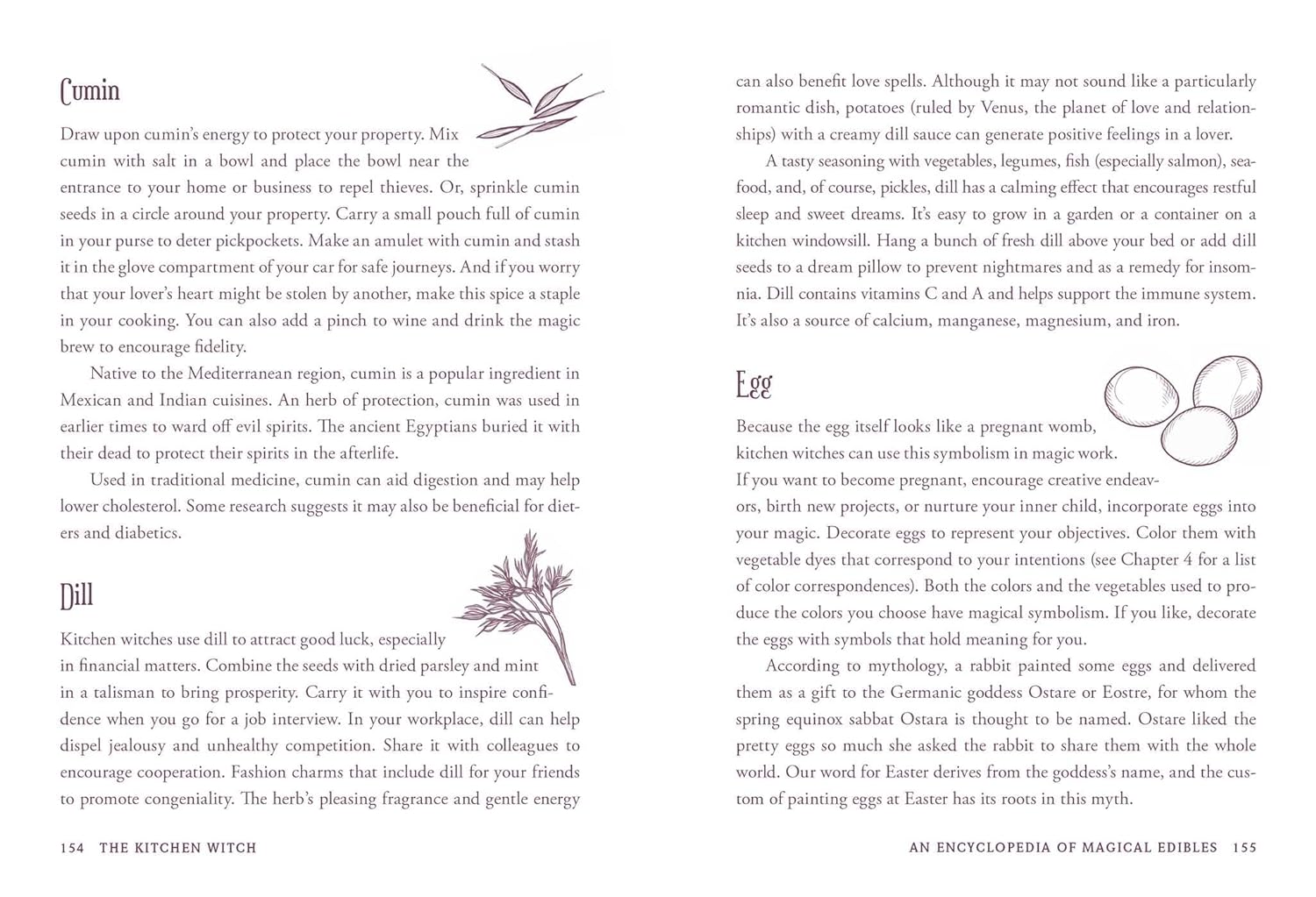 Page from 'The Kitchen Witch' with text and illustrations on herbs and their magical properties.