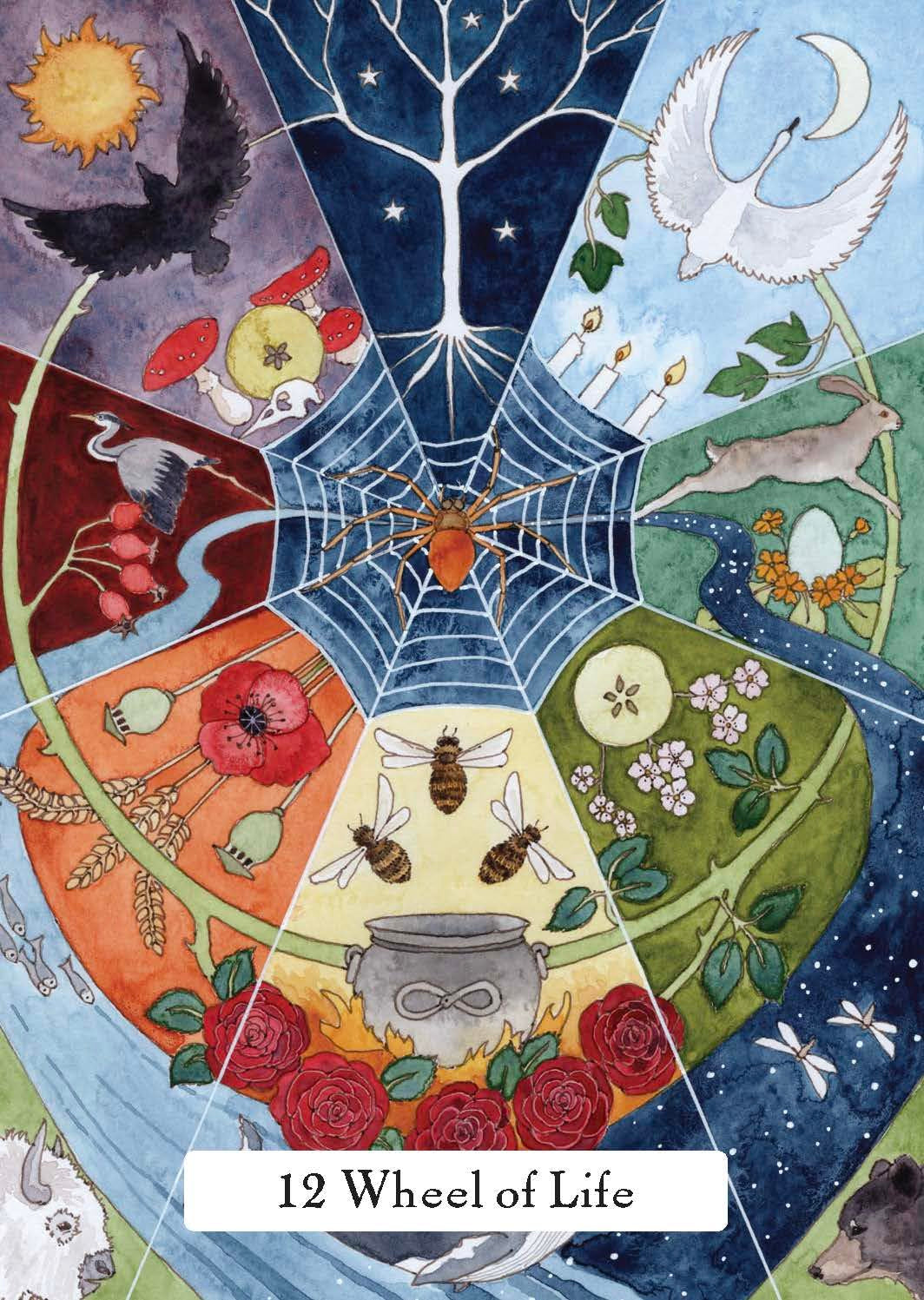 Illustrated '12 Wheel of Life' design with various elements and symbols.