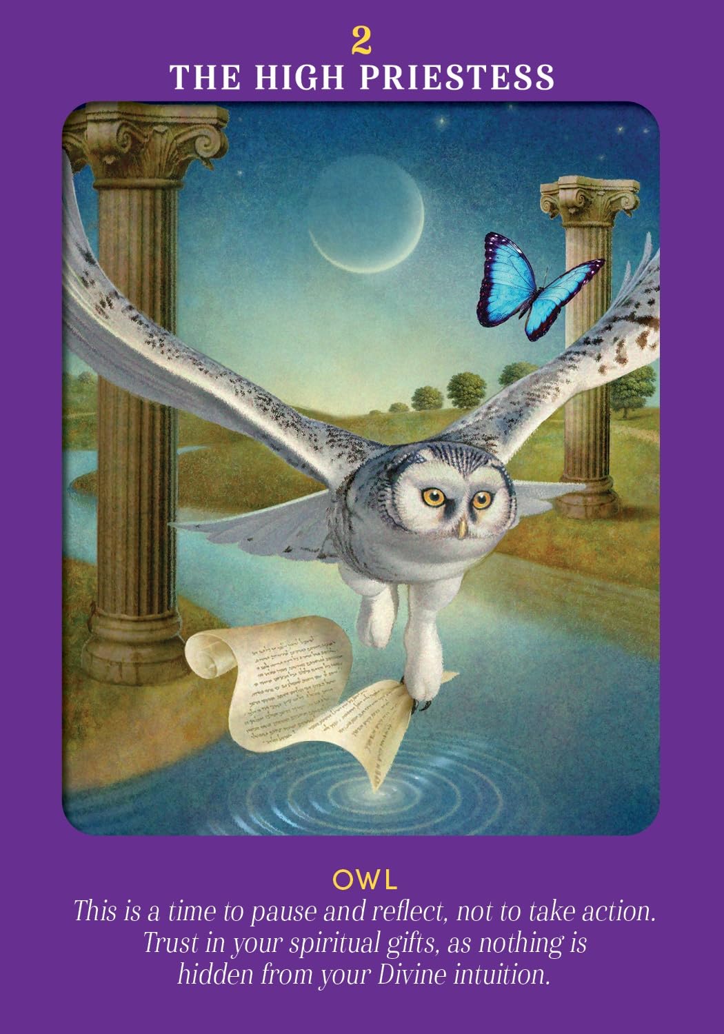 Tarot card featuring an owl and butterfly with a purple border and text.