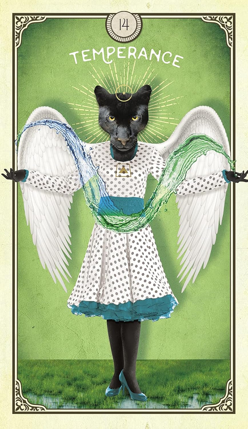 Feline creature in a dress with wings on a tarot card-style background