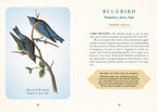 Illustration of a bluebird on a branch with card meaning text on a light blue background