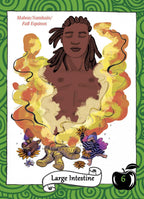 Illustration of a person with dreadlocks surrounded by flames and nature elements, labeled 'Large Intestine' on a green border.