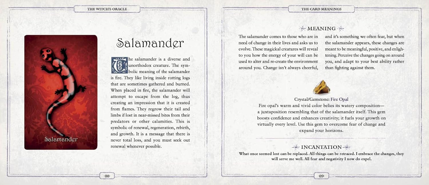 Illustration of a salamander from 'The Book of Shadows' with text on a white background.
