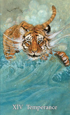 Illustration of a tiger swimming with water splashes, labeled 'XIV Temperance'.