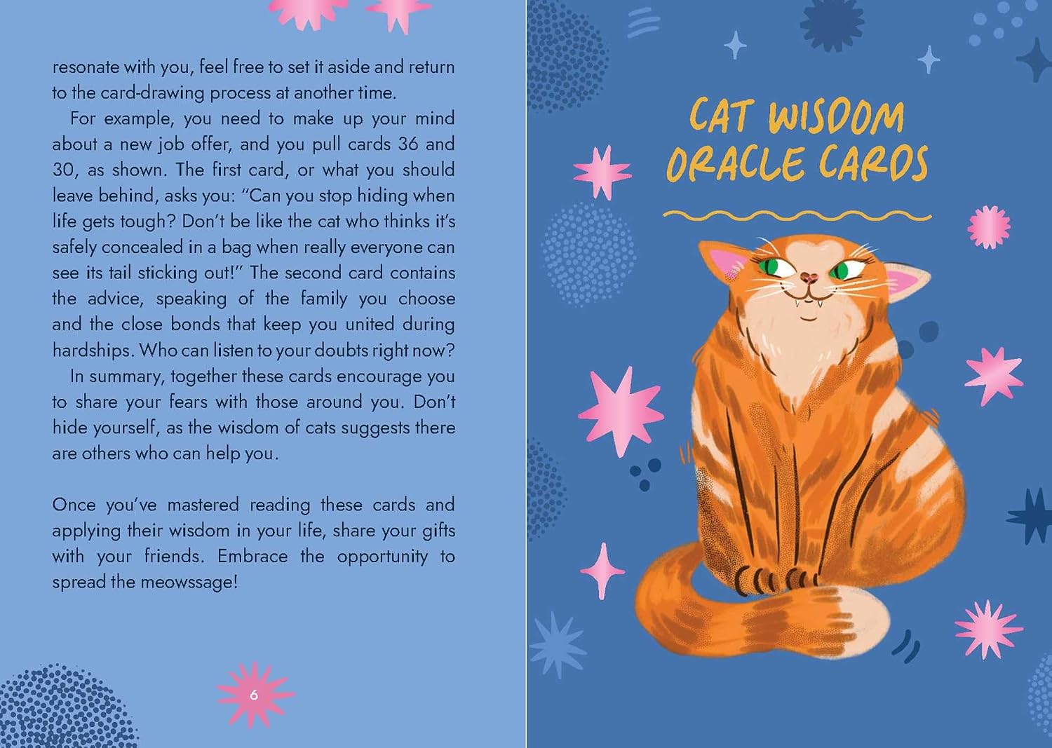 The inside of an oracle card deck, showing the back of a cat card labeled 'CAT WISDOM ORACLE CARDS' on a blue patterned background with text instructions on the left and the illustrated card design on the right.