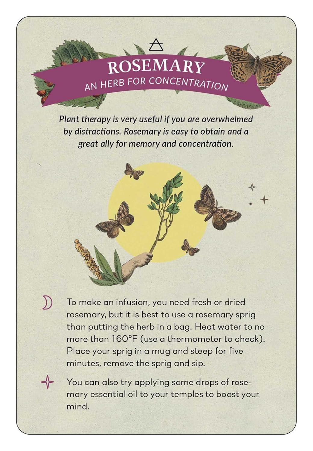 Card with information about rosemary as an herb for concentration, featuring illustrations of rosemary plants and butterflies.