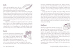Page from a book with text and illustrations of a kitchen witch and a carrot.