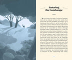 Book page with illustration of a landscape and text on a white background