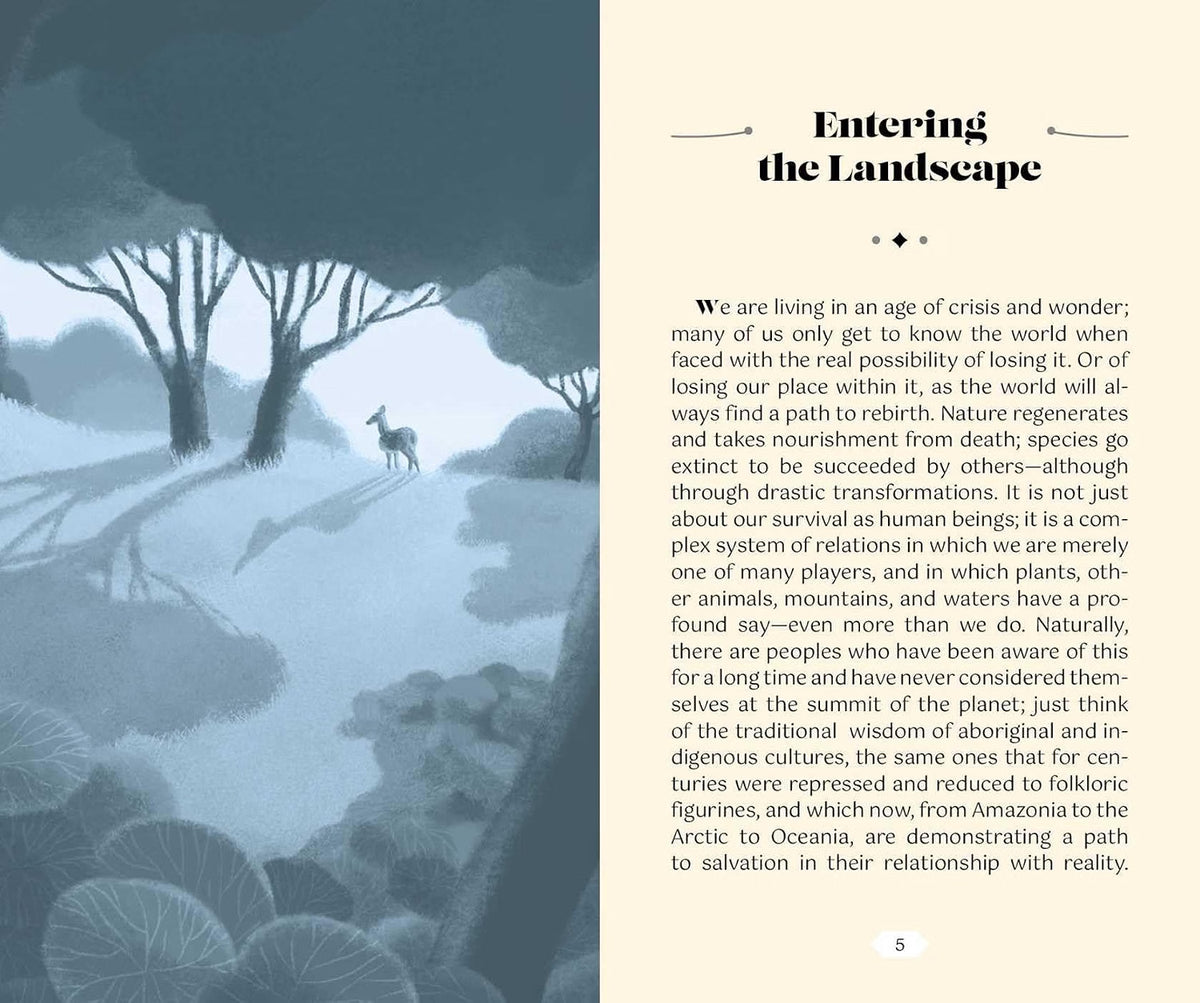 Book page with illustration of a landscape and text on a white background
