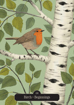 Illustration of a robin on a birch branch with leaves and 'Birch Beginnings' text.