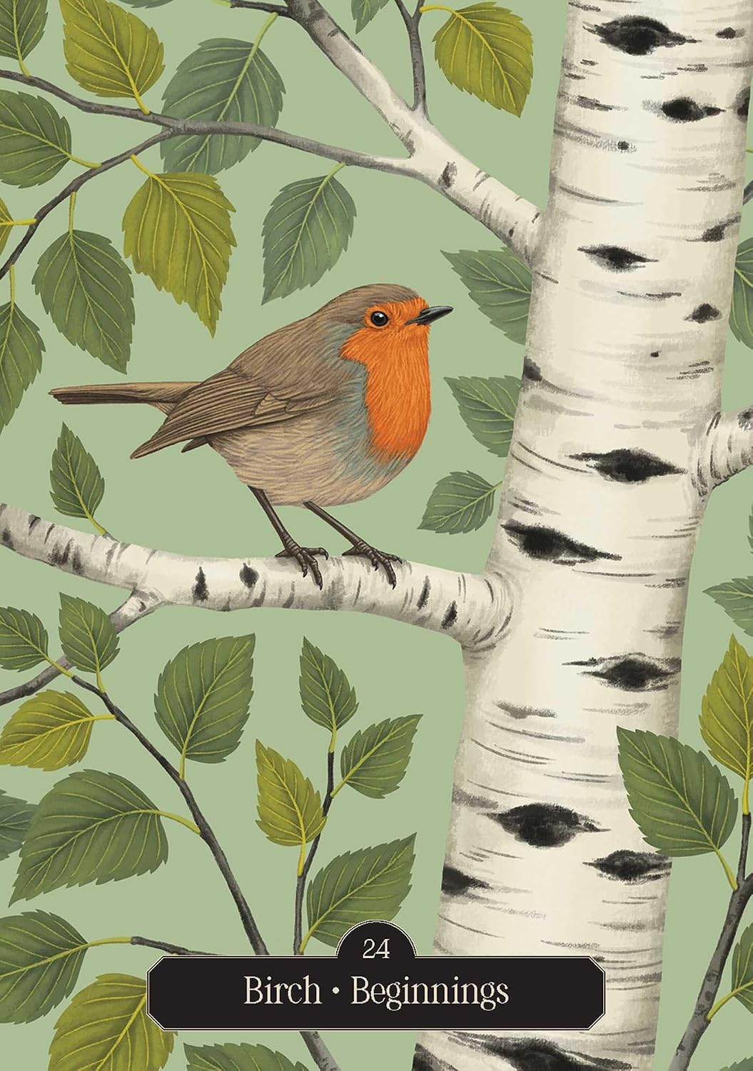 Illustration of a robin on a birch branch with leaves and 'Birch Beginnings' text.