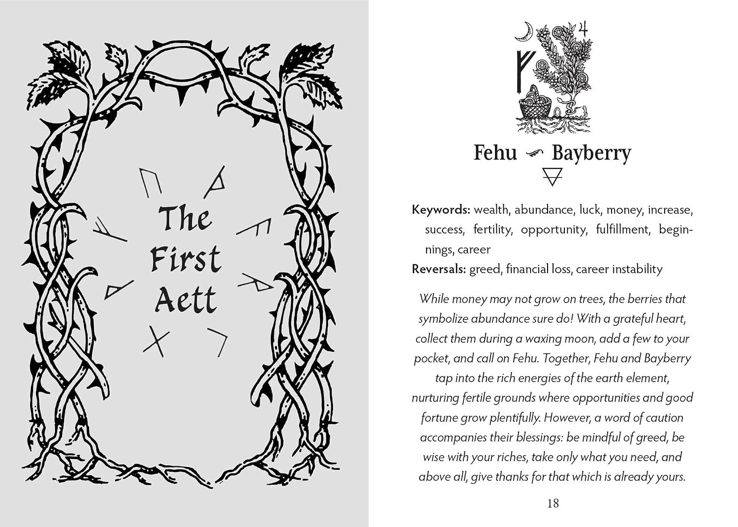 Page from a book or manual with decorative text and symbols, featuring the First Aett and Fehu Bayberry elements.