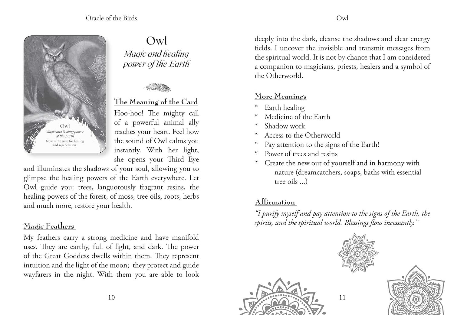 Page from a book about an owl card with text and illustrations