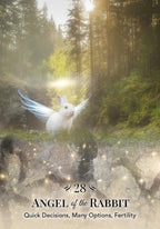 White rabbit with angel wings in a forest with text 'Angel of the Rabbit' and description.
