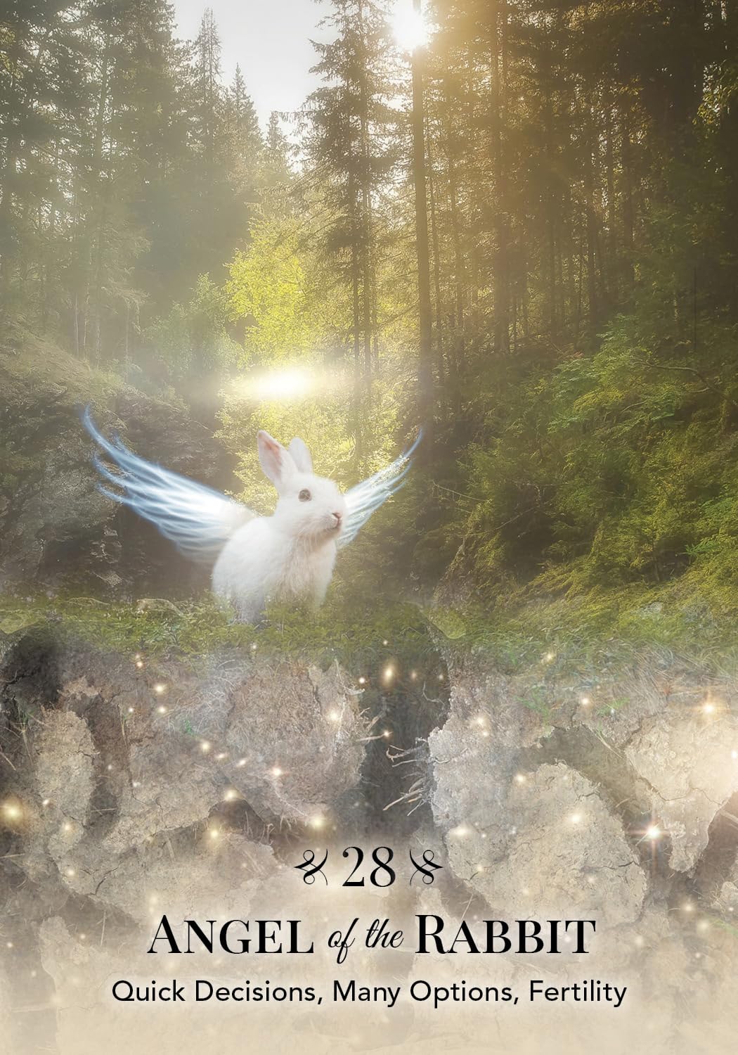 White rabbit with angel wings in a forest with text 'Angel of the Rabbit' and description.