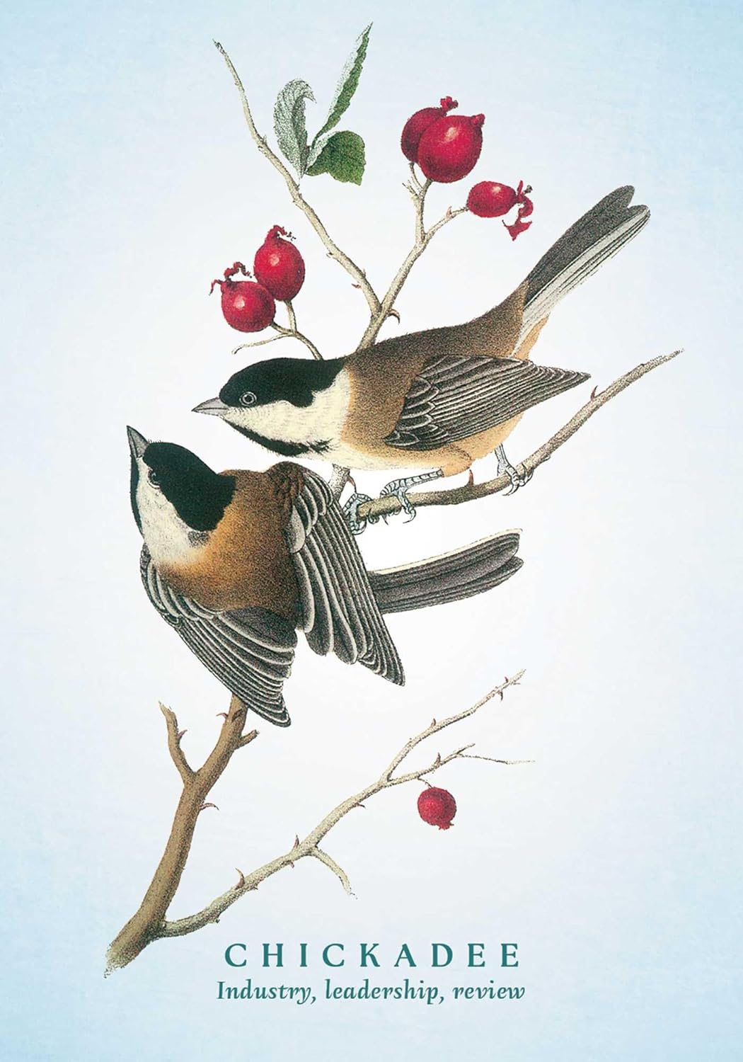 Two chickadees on a branch with red berries against a light blue background
