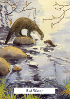 Illustration of two otters by a body of water with '2 of Water' text.