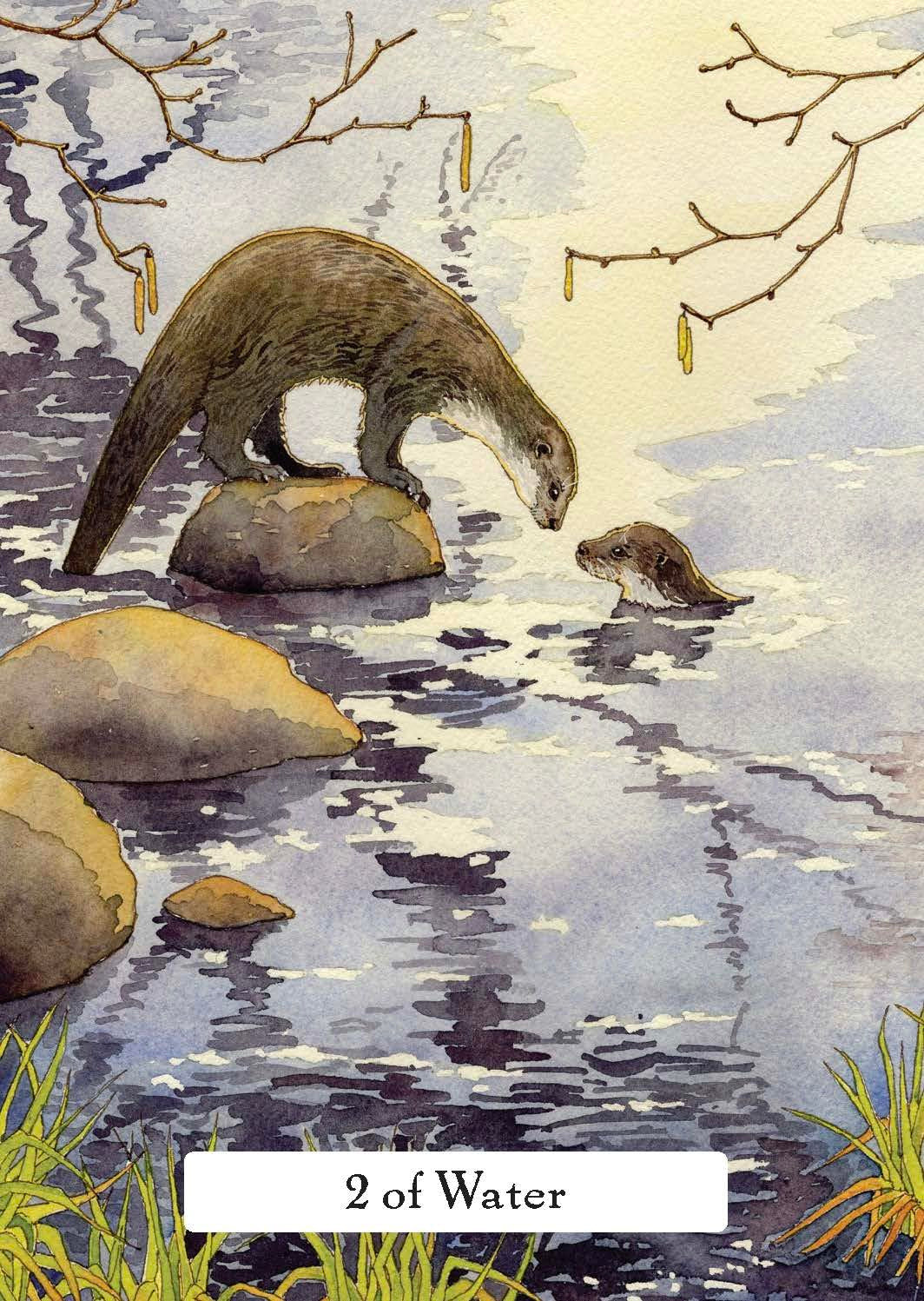 Illustration of two otters by a body of water with '2 of Water' text.