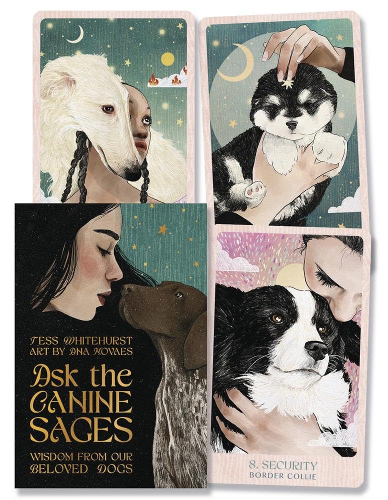 Set of four cards featuring images of people with dogs and text about 'The Canine Sages'.