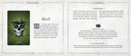 Book page with a skull illustration and text on a green background