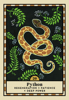 A square illustrated card or print featuring a coiled python on a black background with green leaves and small white flowers. The lower section has a beige panel with the text 'Python' and 'REGENERATION + PATIENCE + DEEP POWER'.