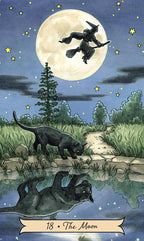 Black cat and witch on a broomstick under a full moon with stars, in a nature setting.