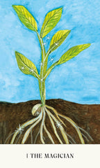 Illustration of a plant with roots emerging from soil against a blue sky.
