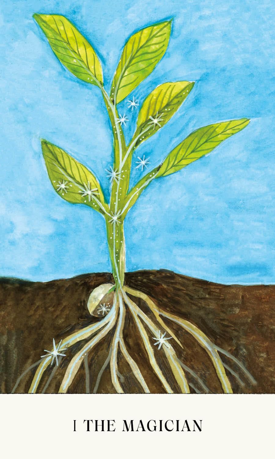 Illustration of a plant with roots emerging from soil against a blue sky.
