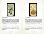 Two tarot card illustrations with descriptions on a beige background