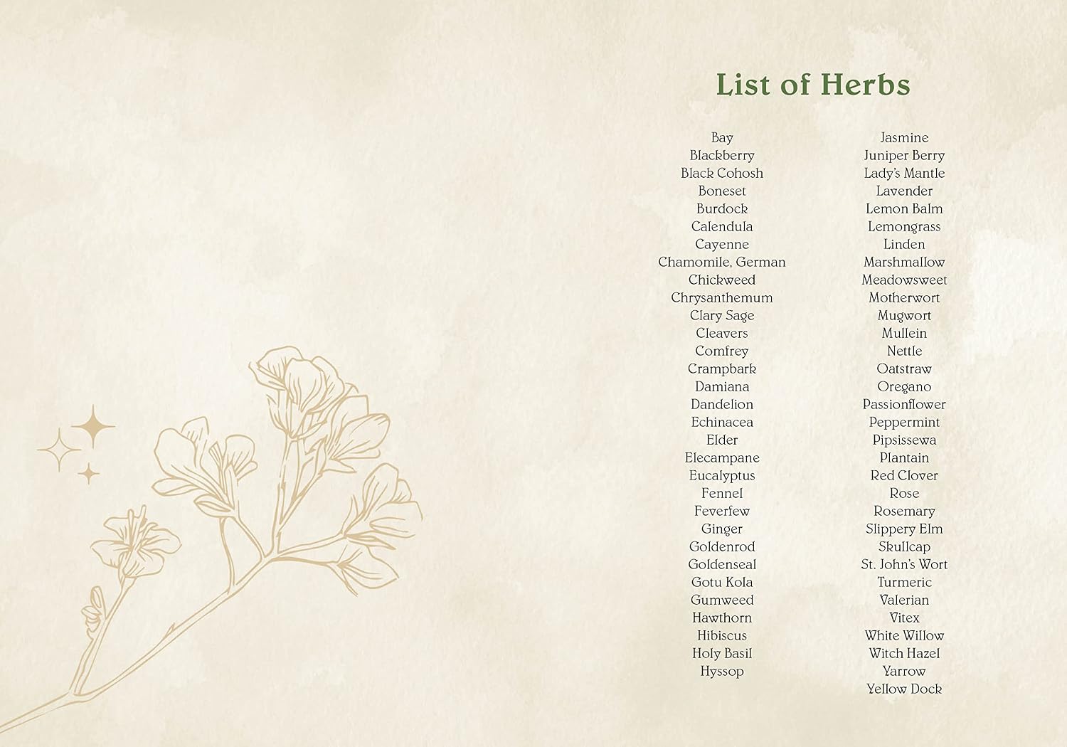 A vintage-style botanical reference card titled 'List of Herbs' on a warm beige parchment-like background. The left side features elegant line-drawn illustrations of flowers and leaves, while the right side lists various herb names in two columns.
