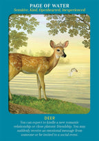 Card with a deer illustration and scenic background, featuring text about the 'Page of Water' from a tarot card deck.