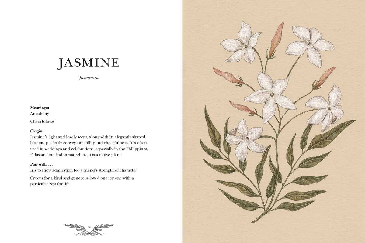 Floriography By Jessica Roux