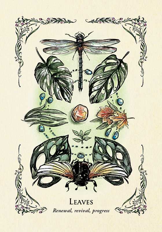 Illustration of a dragonfly, leaves, and a cicada with decorative elements on a beige background.