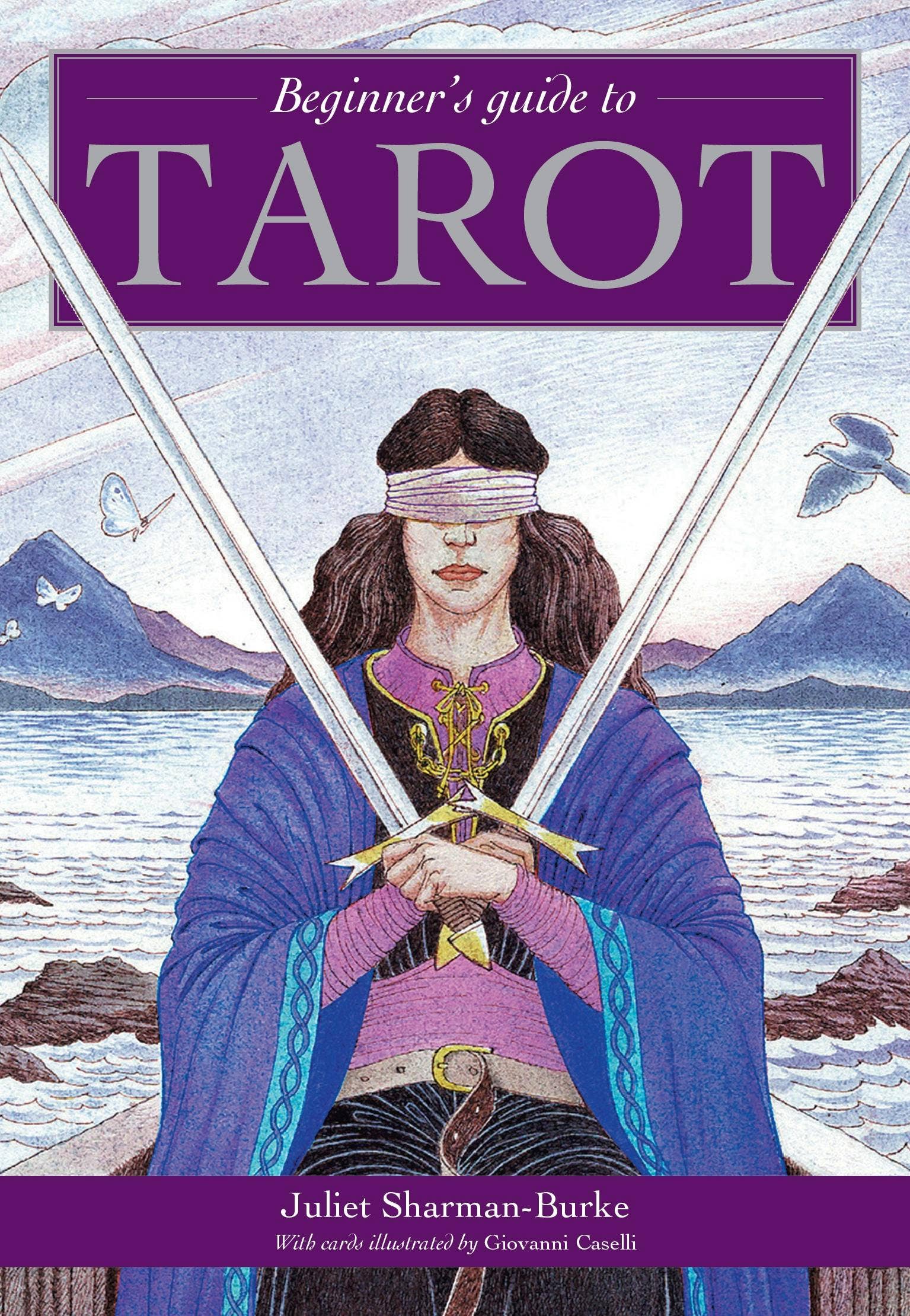 Book cover of 'Beginner's Guide to Tarot' with a illustration of a person holding swords and mountains in the background.