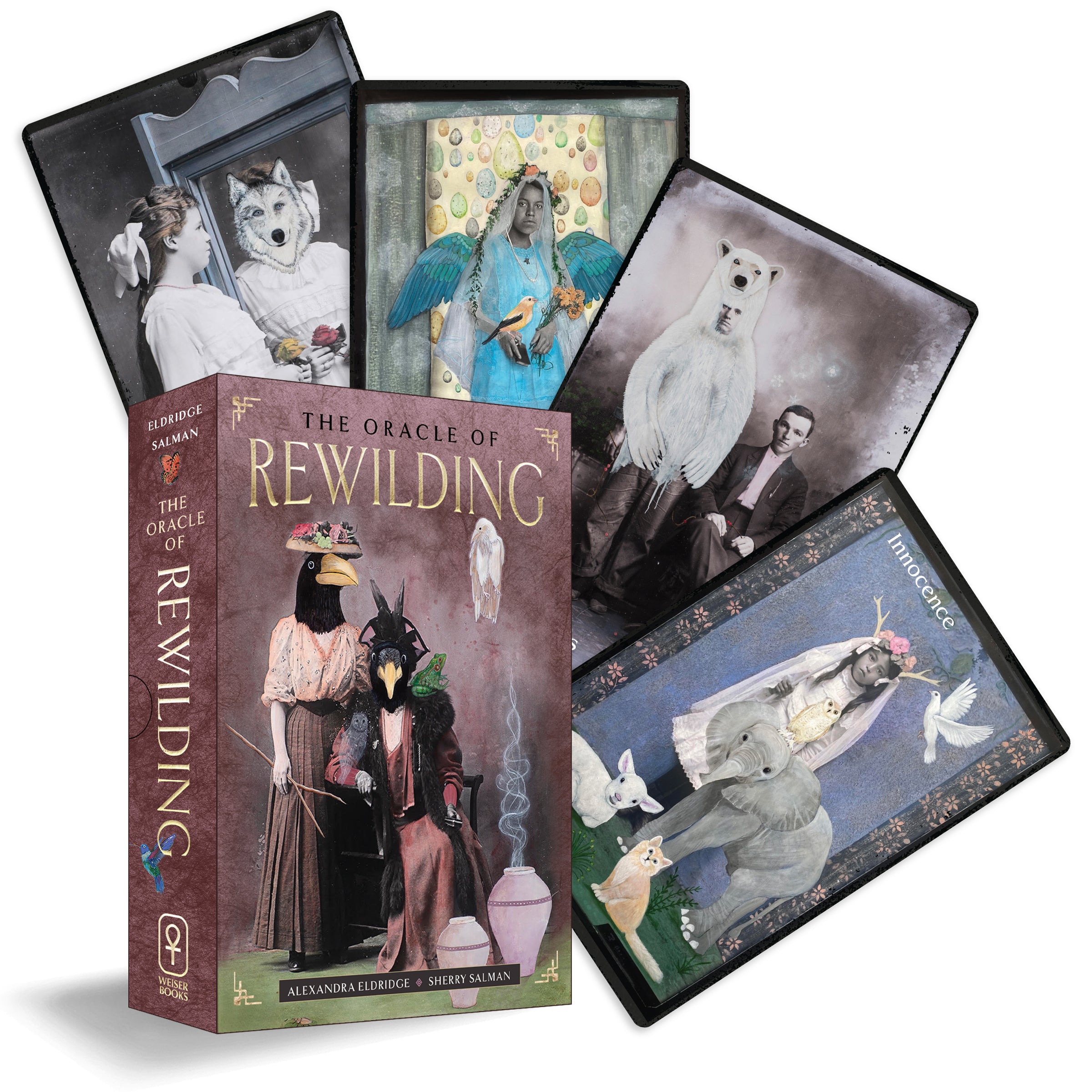 Oracle cards titled 'The Oracle of Rewilding' with various animal illustrations on a white background.