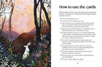 Magical forest scene with a deer and rabbit, accompanied by text on how to use cards.