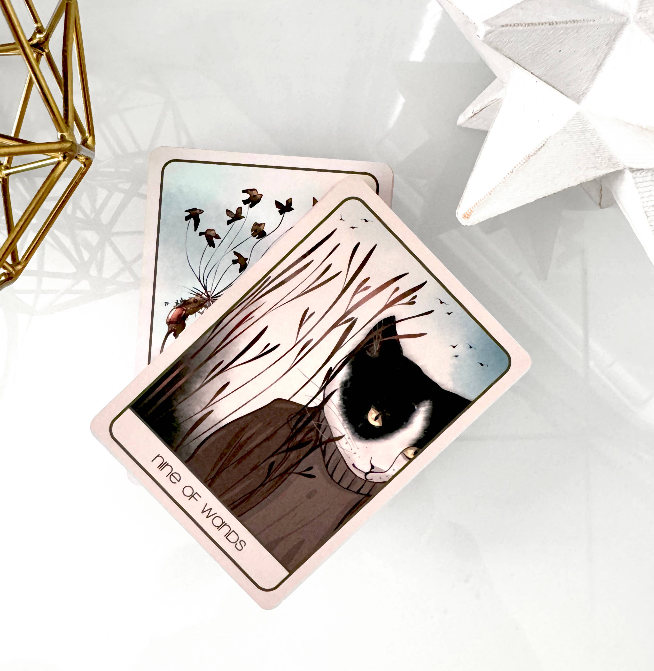 Two illustrated tarot cards fanned out on a glossy white surface, with one card showing a black-and-white cat in tall grass and the other partially visible behind it. Decorative gold and white geometric ornaments appear at the edges.