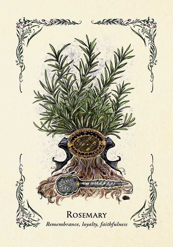 Illustration of rosemary with a decorative frame and text on a beige background