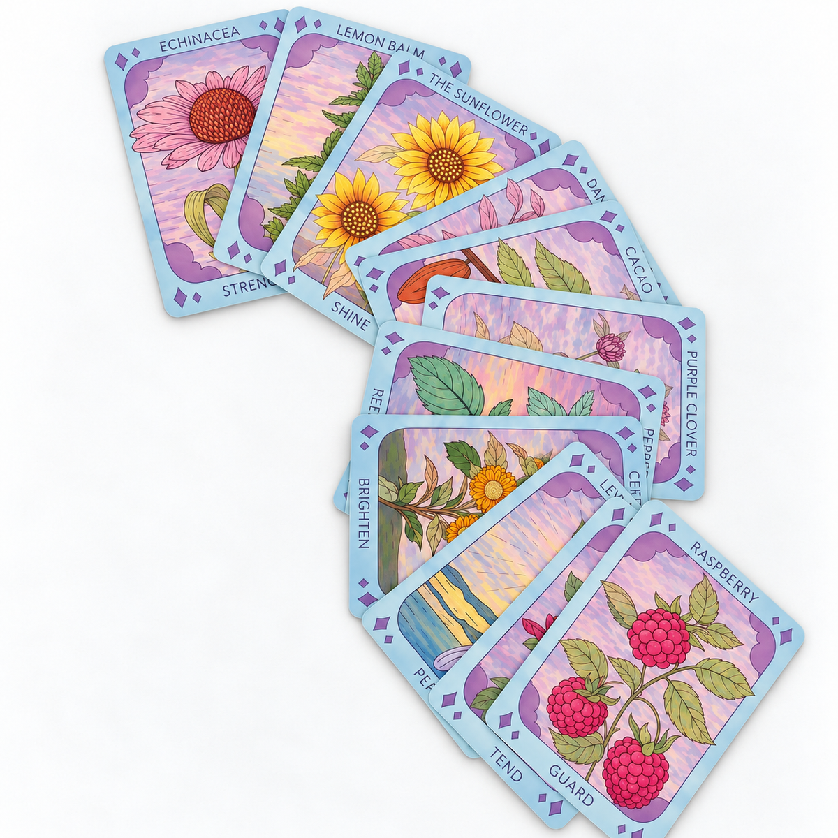 A fan arrangement of illustrated botanical cards on a white background, showing flower and berry designs with pastel purple borders and labels such as echinacea, lemon balm, sunflower, one, raspberry, and ten.