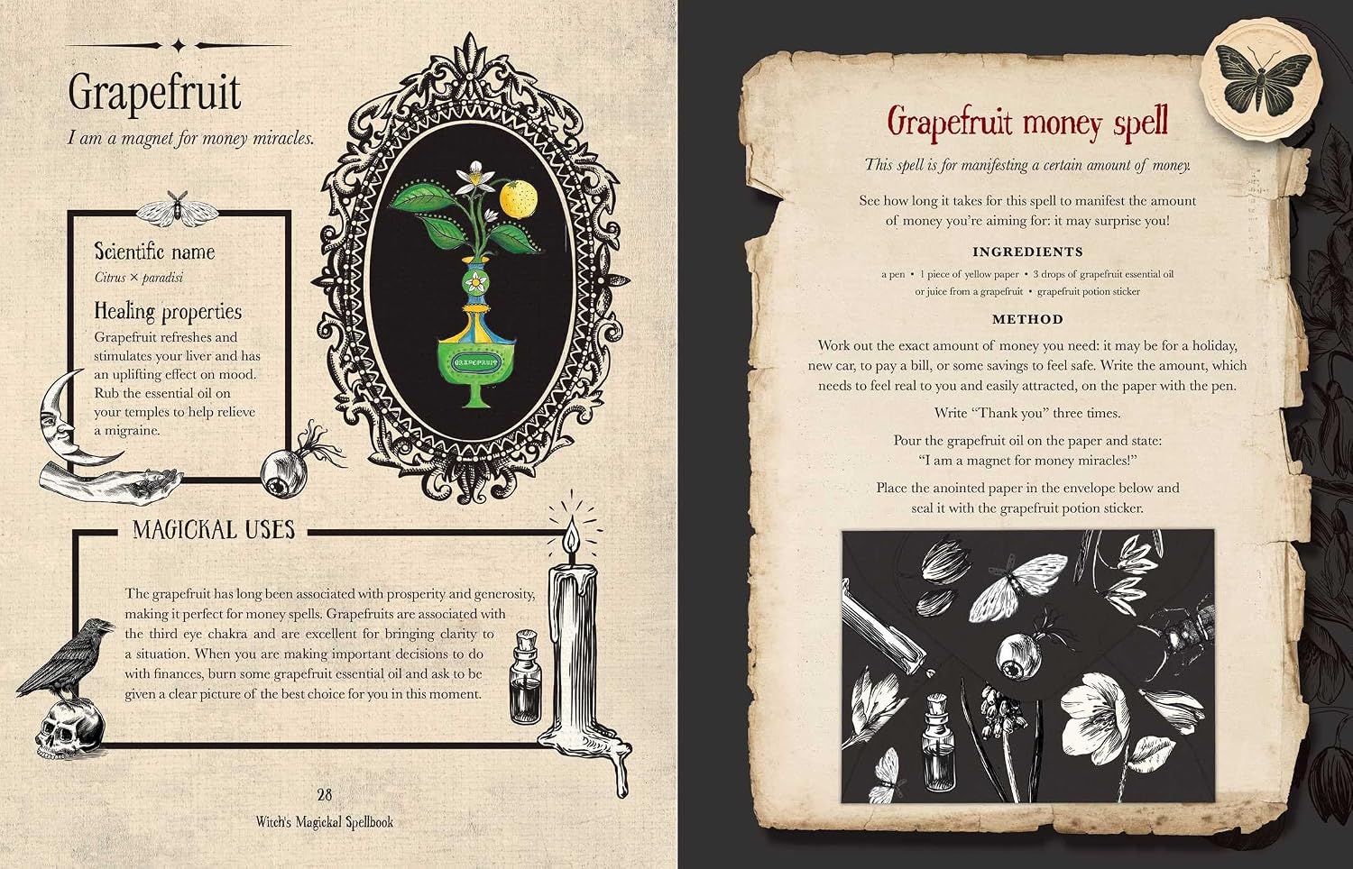 An open vintage-style book or booklet spread showing a 'Grapefruit Money Spell' page with illustrated grapefruit, a vial, a candle, and black-and-white botanical drawings on aged parchment-style paper.