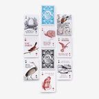Set of playing cards with various designs and text on a white background