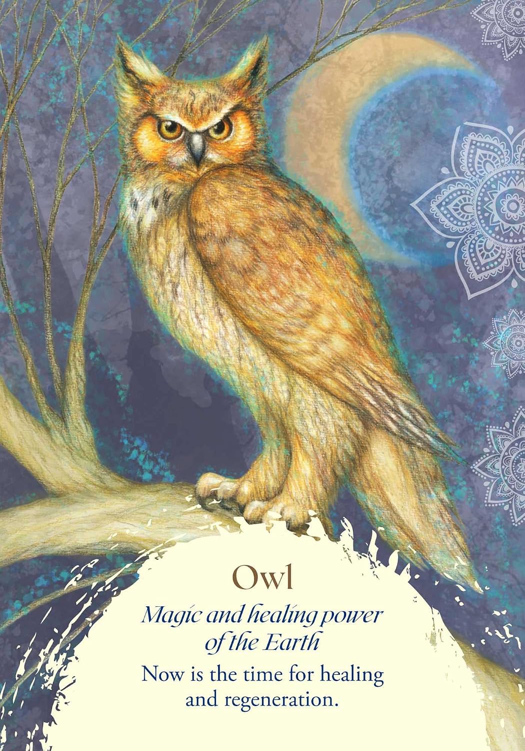 Owl illustration with text on a mystical background