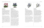 Book page with illustrations of flowers and plant names
